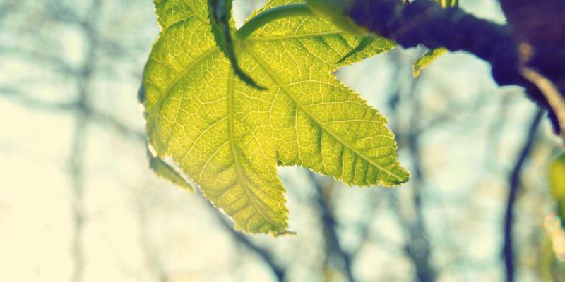 市场进入战略深度解析：新市场评估、模式选择与本地化运营实战指南