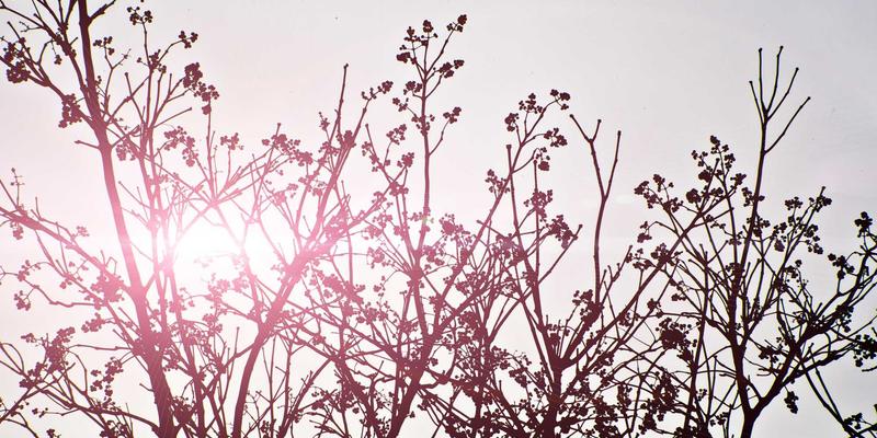 构建企业级风险管理（ERM）体系：整合风险、合规与战略的框架