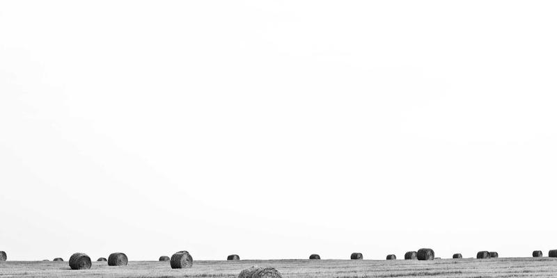 领导力梯队建设：三步构建组织人才供应链，保障企业基业长青 | 帕特尼恩咨询